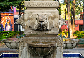 Cdmx 5